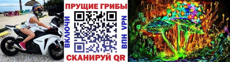 что такое наркотик  Мышкин  Псилоцибиновые грибы Psilocybe 